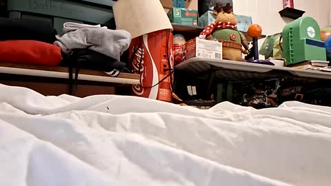 bushdoctor1 online show from September 23, 7:22 am