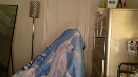 butterfly booty online show from March 31, 7:42 am