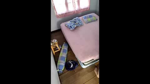 butzi online show from January 17, 7:57 am