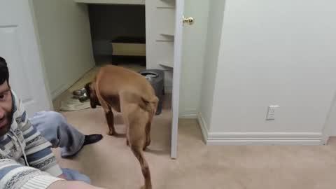 Snapshot of c2cmee chatting on December 26, 9:55 am c2cmee online show from December 26, 9:55 am