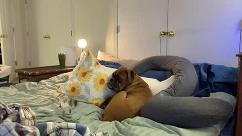 Snapshot of c2cmee chatting on March 9, 4:38 am c2cmee online show from March 9, 4:38 am