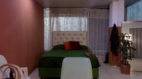 Camil online show from November 22, 10:58 am