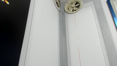 Camila  online show from December 24, 10:11 am