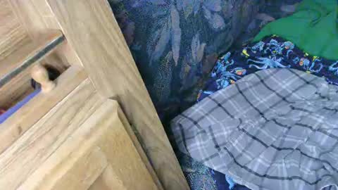 7777 online show from February 13, 2:56 am