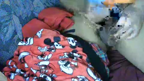 7777 online show from March 4, 6:15 am