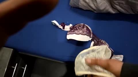 Snapshot of capoo24 chatting on October 28, 10:08 am capoo24 online show from October 28, 10:08 am