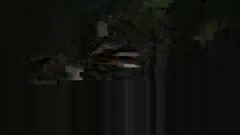 Snapshot of cardie chatting on May 16, 4:09 am supersexycardie online show from May 16, 4:09 am