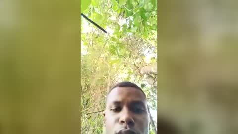 Snapshot of carlosmariomartinez332 chatting on July 13, 1:03 pm Alegandro online show from July 13, 1:03 pm