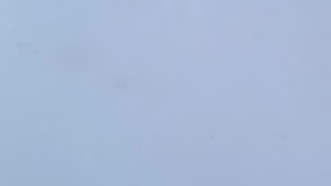 Snapshot of caro_loving chatting on February 16, 3:24 am caro online show from February 16, 3:24 am