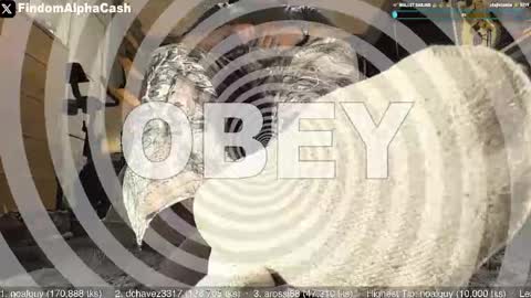 Master Grey online show from May 15, 4:08 am