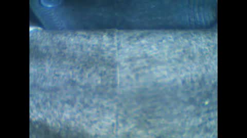 castells online show from January 18, 10:52 am