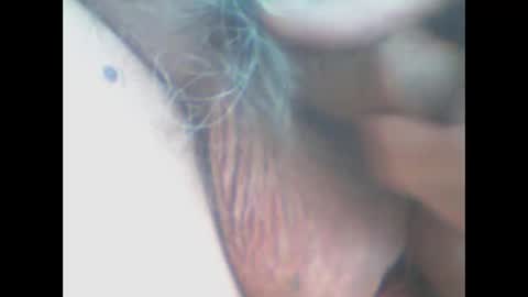 castells online show from April 11, 4:00 pm