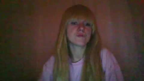 cat_2019 online show from October 1, 11:33 pm