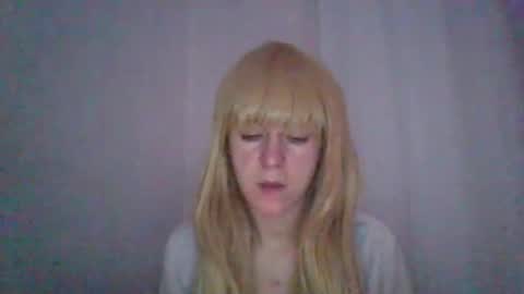 cat_2019 online show from October 16, 10:44 pm