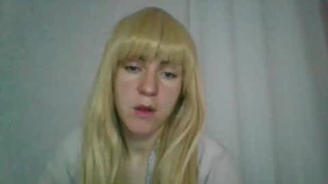 cat_2019 online show from November 9, 12:31 am