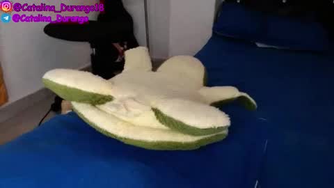 Snapshot of catalina_durango18 chatting on November 22, 9:36 pm Catalina Durango online show from November 22, 9:36 pm