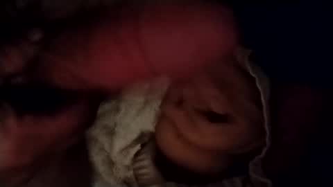 catdaddy179057 online show from February 24, 11:30 am