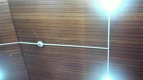 Snapshot of caylincollins chatting on February 2, 12:48 pm caylincollins online show from February 2, 12:48 pm