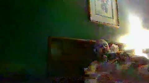 TheGoldenStroker222 online show from December 21, 11:28 am