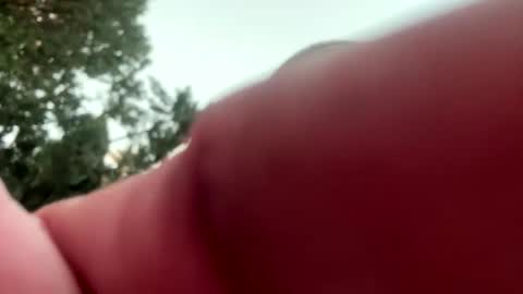 ccs13200 online show from January 6, 3:49 pm