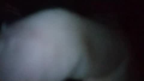 Snapshot of cedricstjacques0 chatting on February 13, 2:07 am Outdoor Guy online show from February 13, 2:07 am