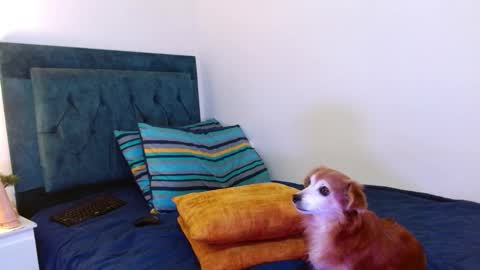 Cedrixx10 online show from October 25, 1:02 am