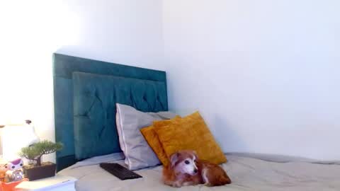 Cedrixx10 online show from February 28, 10:00 pm