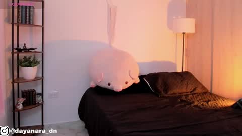 Alice online show from February 26, 2:15 am