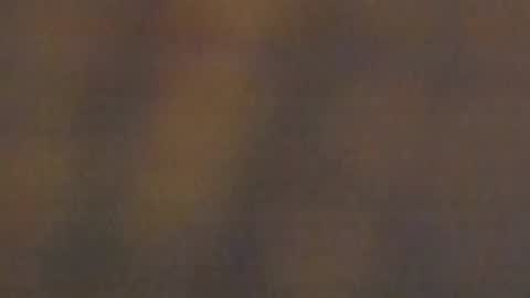 celestepink_jl online show from November 10, 12:42 am