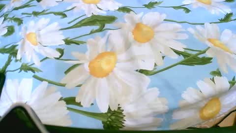 cerminah online show from November 19, 1:11 pm