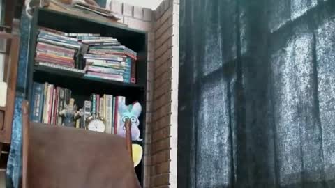 cguffey2284 online show from February 18, 4:05 pm