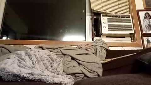 Chad420247 online show from February 4, 3:23 am