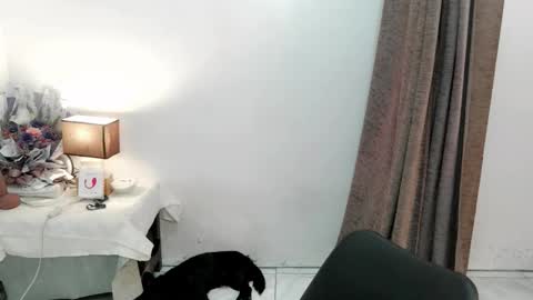 chakadal_xx online show from November 20, 6:46 am