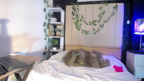 channel_hs online show from September 23, 2:31 pm