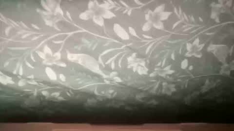 channelll31 online show from December 2, 4:24 pm