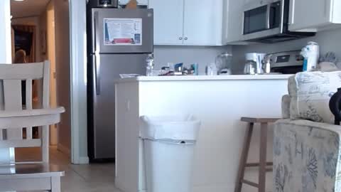 charleyandsmokie online show from October 31, 5:58 pm