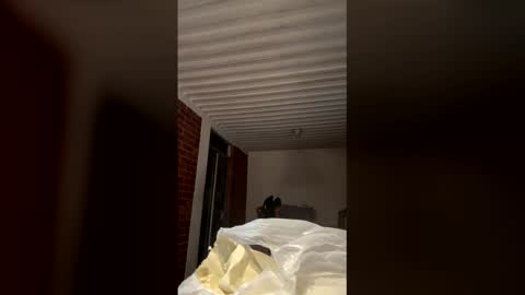    online show from January 18, 1:31 am