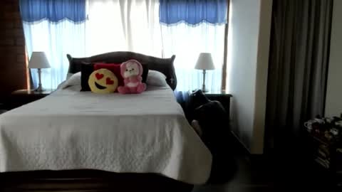 Charlotte online show from February 12, 4:35 pm