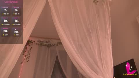 Charlotte online show from November 20, 7:46 pm