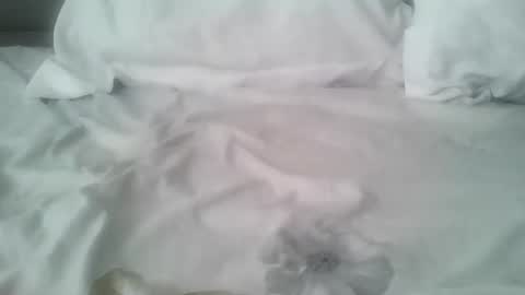 chatusandy26 online show from February 14, 7:05 am