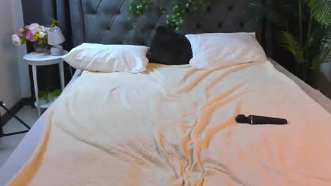 Snapshot of cheezy_cream chatting on December 4, 4:44 am cheezy_cream online show from December 4, 4:44 am