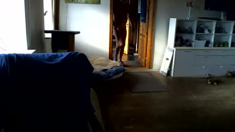 Snapshot of chefben666 chatting on February 14, 11:29 am chefben666 online show from February 14, 11:29 am