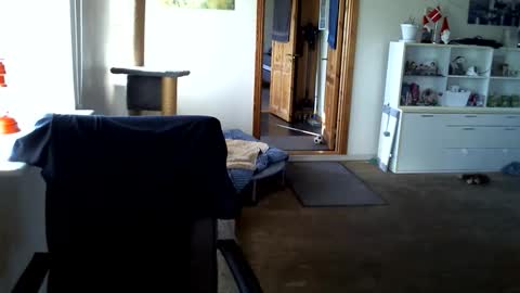 Snapshot of chefben666 chatting on March 31, 3:56 pm chefben666 online show from March 31, 3:56 pm