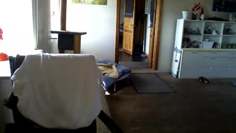 Snapshot of chefben666 chatting on April 11, 9:24 am chefben666 online show from April 11, 9:24 am