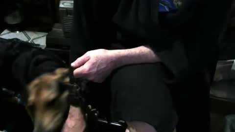 chefy online show from December 3, 11:41 am