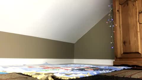 Snapshot of chenovich chatting on January 4, 1:42 pm chenovich online show from January 4, 1:42 pm