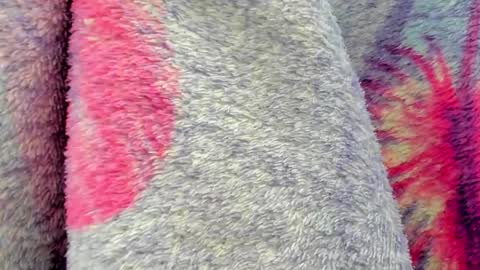 Snapshot of cherry_pussy1 chatting on October 6, 9:40 am Mia online show from October 6, 9:40 am