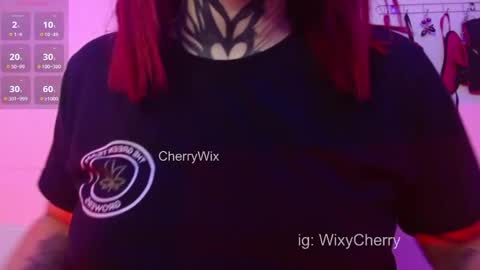Snapshot of cherrywix chatting on February 13, 2:34 am cherrywix online show from February 13, 2:34 am