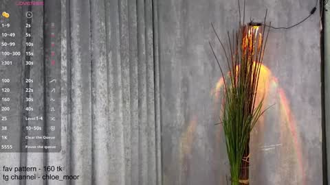 Snapshot of chloe_moor chatting on December 10, 9:00 pm Chloe online show from December 10, 9:00 pm