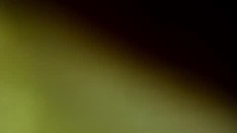 ChloeeThompson online show from September 20, 2:56 am